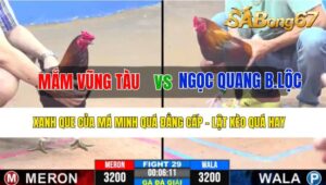 TRẬN 29 CPC3 25/10/2024: ANH MẮM VŨNG TÀU VÀ ANH NGỌC QUANG BẢO LỘC