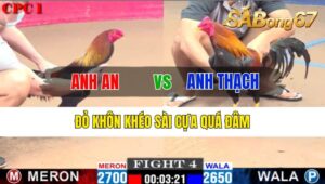 TRẬN 4 CPC1 24/10/2024: ANH AN ĐÁ VỚI ANH THẠCH