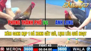 TRẬN 45 CPC3 24/10/2024: ANH PHONG THÀNH PHỐ VÀ ANH LONG