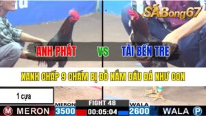 TRẬN 48 CPC3 24/10/2024: ANH PHÁT VÀ ANH TÀI BẾN TRE