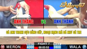 TRẬN 7 CPC2 25/10/2024: ANH THẮNG ĐỤNG ĐỘ VỚI ANH THANH