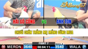 TRẬN 7 CPC3 25/10/2024: ANH HẢI GÒ CÔNG VÀ ANH TON