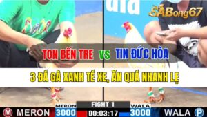 Trận 1 CPC3 03/10/2024: Anh Ton Bến Tre Đá Xổ Anh Tin Đức Hòa