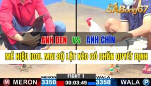 Trận 1 CPC1 05/10/2024: Anh Đen Đá Xổ Anh Chín