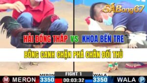 Trận 1 CPC3 05/10/2024: Anh Hải Đồng Tháp Đá Xổ Anh Khoa Bến Tre