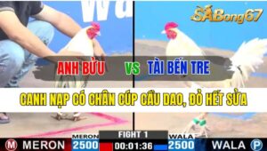 Trận 1 CPC3 13/10/2024 Anh Bửu Đá Xổ Anh Tài Bến Tre