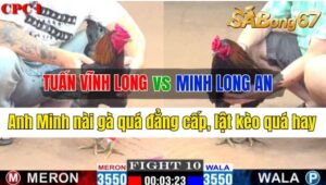 Trận 10 CPC1 08/10/2024 Anh Tuấn Vĩnh Long Đá Xổ Anh Minh Long An