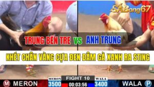 Trận 10 CPC2 02/10/2024: Anh Trung Bến Tre Đá Xổ Anh Trung