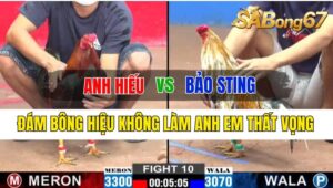 Trận 10 CPC2 09/10/2024 Anh Hiếu Đá Xổ Anh Bảo Sting