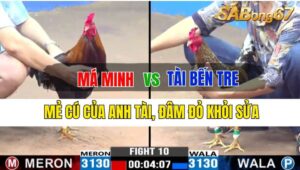 Trận 10 CPC3 03/10/2024: Má Minh Đá Xổ Anh Thạch