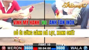 Trận 10 CPC3 09/10/2024 Anh Vinh Mỹ Hạnh Đá Xổ Anh Tân Inox