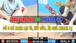 Trận 10 CPC3 11/10/2024 Anh Đậu Vũng Tàu Đá Xổ Anh Hiếu Sài Gòn