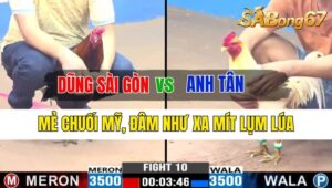 Trận 10 CPC3 12/10/2024 Anh Dũng Sài Gòn Đá Xổ Anh Tân