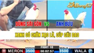 Trận 10 CPC3 13/10/2024 Anh Dũng Sài Gòn Đá Xổ Anh Bửu