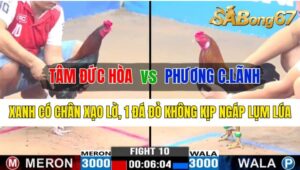 Trận 10 CPC3 21/10/2024 Anh Tâm Đức Hòa Đá Xổ Anh Phương Cao lãnh