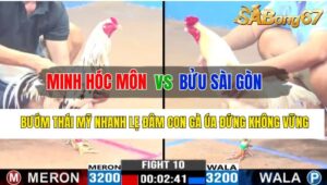 Trận 10 CPC3 31/10/2024 Anh Minh Hóc Môn Đá Xổ Anh Bửu Sài Gòn