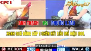 Trận 11 CPC1 17/10/2024 Anh Thạch Đá Xổ Anh Phước Vũng Tàu