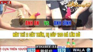 Trận 11 CPC1 28/10/2024 Anh An Đá Xổ Anh Bình