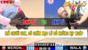 Trận 11 CPC1 29/10/2024 Anh Tư Đá Xổ Anh Tú