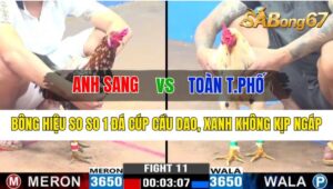 Trận 11 CPC3 16/10/2024 Anh Sang Đá Xổ Anh Toàn Thành Phố