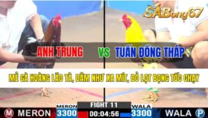 Trận 11 CPC3 26/10/2024 Anh Trung Đá Xổ Anh Tuấn Đồng Tháp