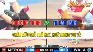 Trận 11 CPC3 29/10/2024 Anh Chương Tây Ninh Đá Xổ Anh Tư Cao Lãnh