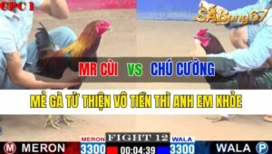 Trận 12 CPC1 12/10/2024 Anh Mr Cùi Đá Xổ Chú Cường