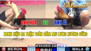 Trận 12 CPC1 26/10/2024 Anh Hòa Đá Xổ Anh Ái