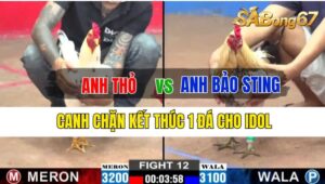 Trận 12 CPC2 02/10/2024: Anh Thỏ Đá Xổ Anh Bảo Sting