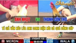 Trận 12 CPC2 18/10/2024 Anh Nhựt Đá Xổ Anh Thanh Cần Thơ