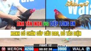 Trận 12 CPC3 03/10/2024: Anh Tân Inox Đá Xổ Anh Diệp Long An