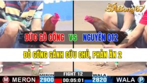 Trận 12 CPC3 13/10/2024 Anh Đức Gò Công Đá Xổ Anh Nguyên Q12