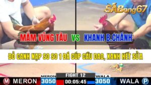 Trận 12 CPC3 27/10/2024 Anh Mắm Vũng Tàu Đá Xổ Anh Khanh B.Chánh