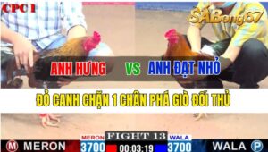 Trận 13 CPC1 08/10/2024 Anh Hưng Đá Xổ Anh Đạt Nhỏ