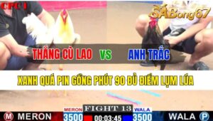 Trận 13 CPC1 22/10/2024 Anh Thắng Cù Lao Đá Xổ Anh Trắc