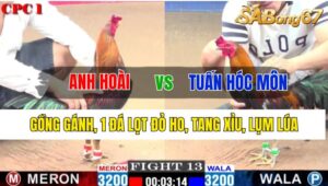 Trận 13 CPC1 29/10/2024 Anh Hoài Đá Xổ Anh Tuấn Hóc Môn