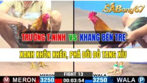 Trận 13 CPC3 08/10/2024 Anh Trương Tây Ninh Đá Xổ Anh Khang Bến Tre