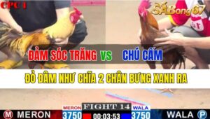 Trận 14 CPC1 03/10/2024: Anh Đảm Sóc Trăng Đá Xổ Chú Cấm