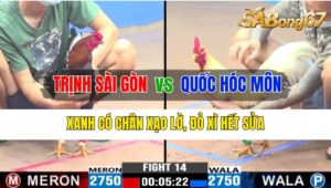 Trận 14 CPC3 16/10/2024 Anh Trịnh Sài Gòn Đá Xổ Anh Quốc Hóc Môn