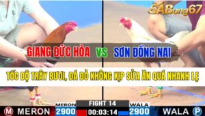 Trận 14 CPC3 17/10/2024 Anh Giang Đức Hòa Đá Xổ Anh Sơn Đồng Nai