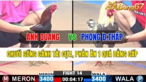 Trận 14 CPC3 18/10/2024 Anh Quang Đá Xổ Anh Phong Đồng Tháp