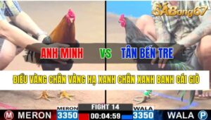 Trận 14 CPC3 30/10/2024 Anh Minh Đá Xổ Anh Tân Bến Tre