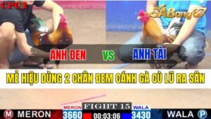 Trận 15 CPC1 01/10/2024 Anh Đen Đá Xổ Anh Tài