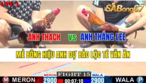 Trận 15 CPC1 12/10/2024 Anh Thạch Đá Xổ Anh Thắng Lee