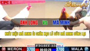 Trận 15 CPC1 31/10/2024 Anh Long Đá Xổ Má Minh