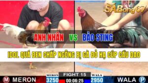 Trận 15 CPC2 23/10/2024 Anh Nhân Đá Xổ Anh Bảo Sting