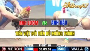 Trận 15 CPC3 06/10/2024 Anh Lượm Đá Xổ Anh Đậu