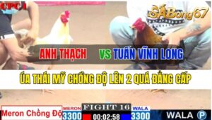 Trận 16 CPC1 08/10/2024 Anh Thạch Đá Xổ Anh Tuấn Vĩnh Long