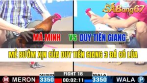 Trận 16 CPC3 09/10/2024 Má Minh Đá Xổ Anh Duy Tiền Giang