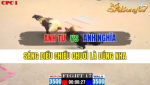 Trận 17 CPC1 12/10/2024 Anh Tư Đá Xổ Anh Nghĩa